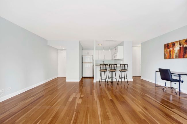 APT-5A - 33 E Cedar St, Condo with 1 bedrooms, 1 bathrooms and null parking in CHICAGO IL | Image 8