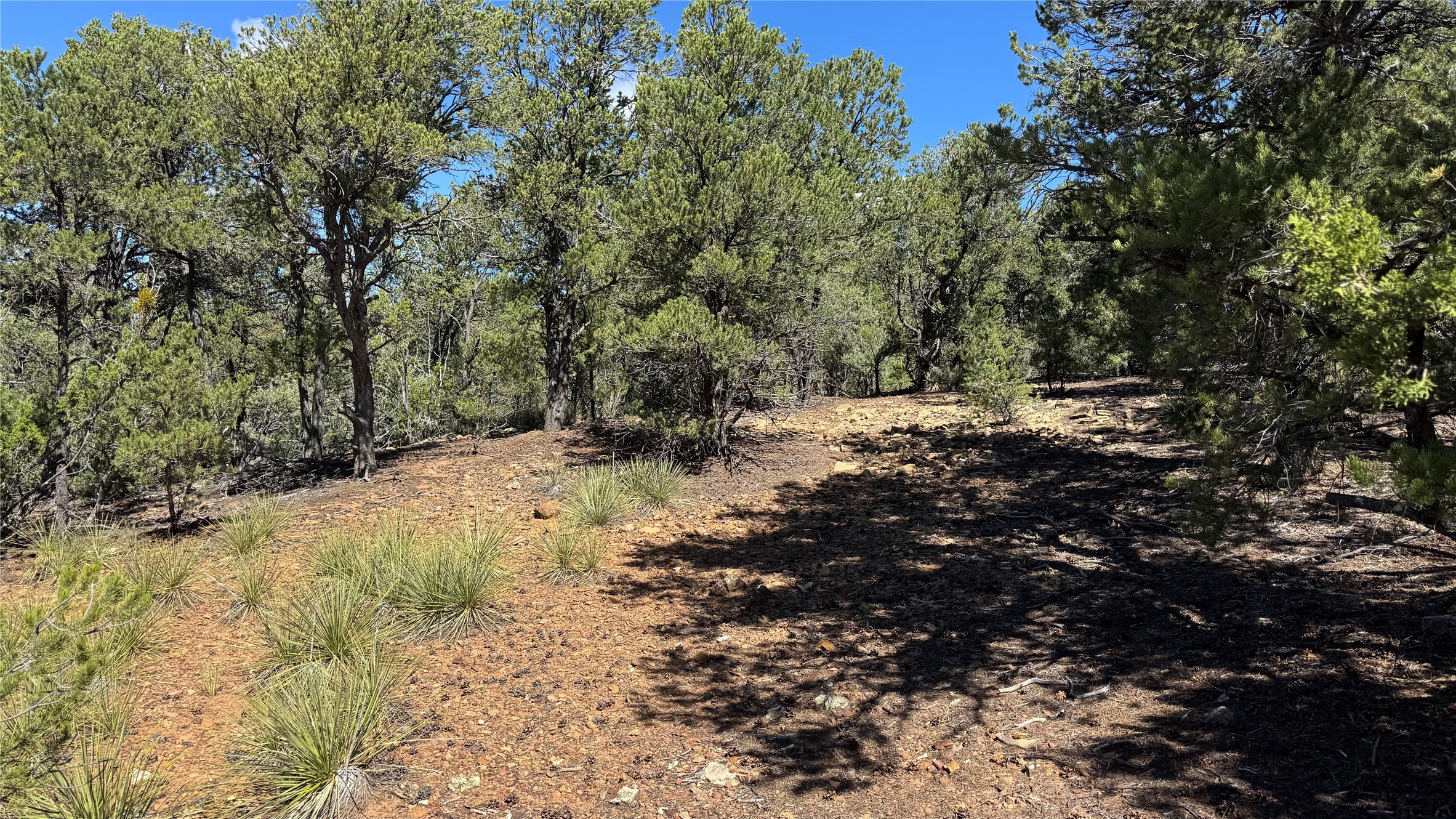 Land in Santa Fe 3
