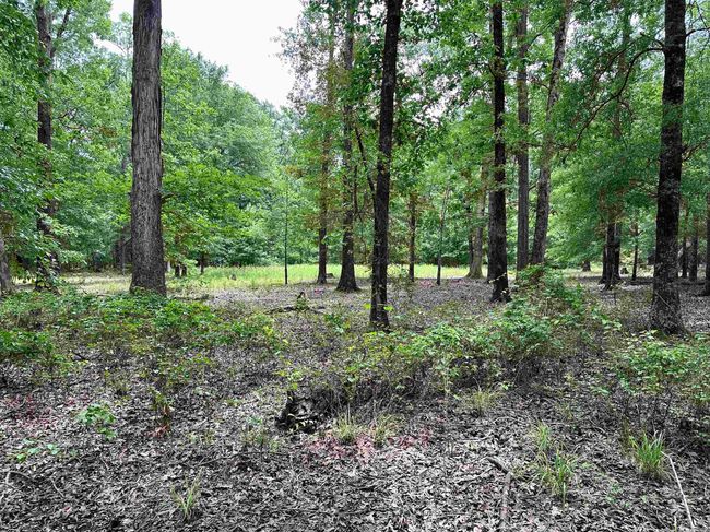 000 Oak Dale Rd, Home with 0 bedrooms, 0 bathrooms and null parking in Lonoke AR | Image 22