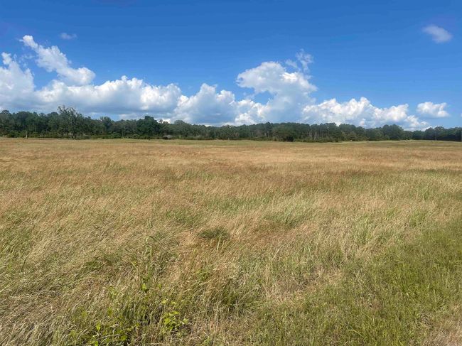 15350 Bailey Branch Rd, House other with 1 bedrooms, 1 bathrooms and null parking in Danville AR | Image 22