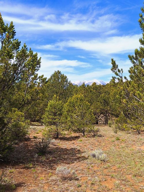 TBD Lot 5 Bella Vista Dr, Westcliffe, CO, 81252 | Card Image