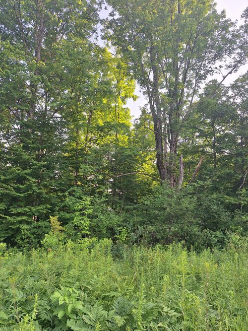 00 14 Mile Rd, Leroy, MI, 49655 | Card Image