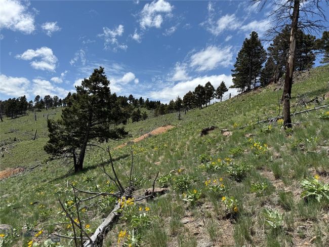 40 High Ore Rd, Home with 0 bedrooms, 0 bathrooms and null parking in Boulder MT | Image 10