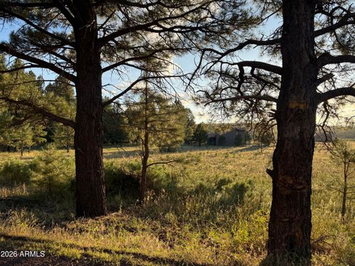 c-184 High Point Dr, Mormon Lake, AZ, 86038 | Card Image