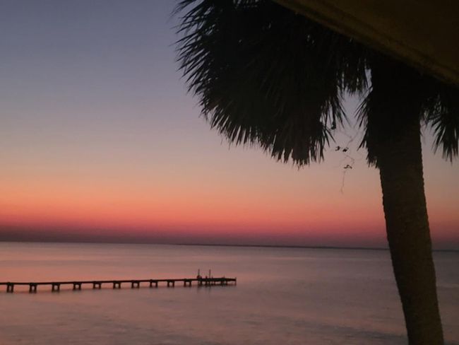 2074 Hwy 98 W, House other with 4 bedrooms, 3 bathrooms and 6 parking in Carrabelle FL | Image 52