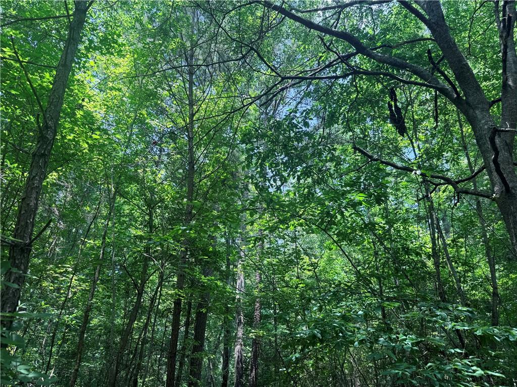 Land in Snellville 4