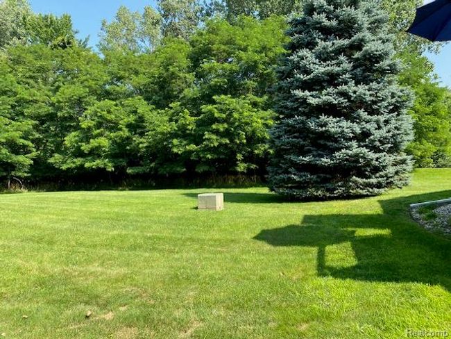 IMG_3707.jpg | Image 10