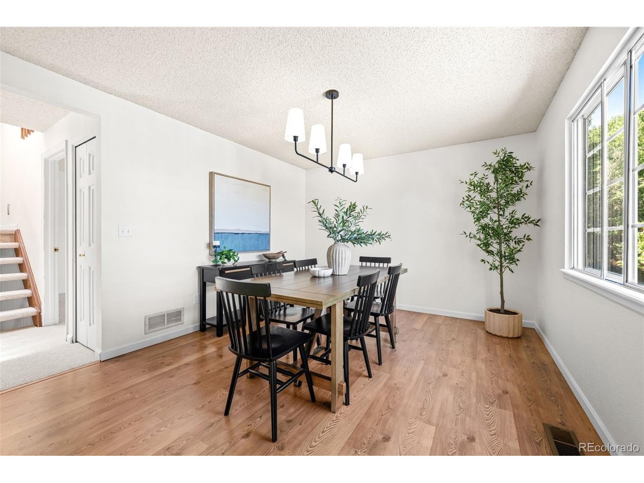 Residential in Castle Rock 3