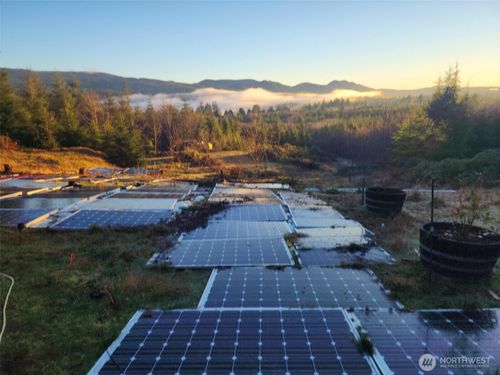 317 Parpal Road, Naselle, WA, 98638 | Card Image