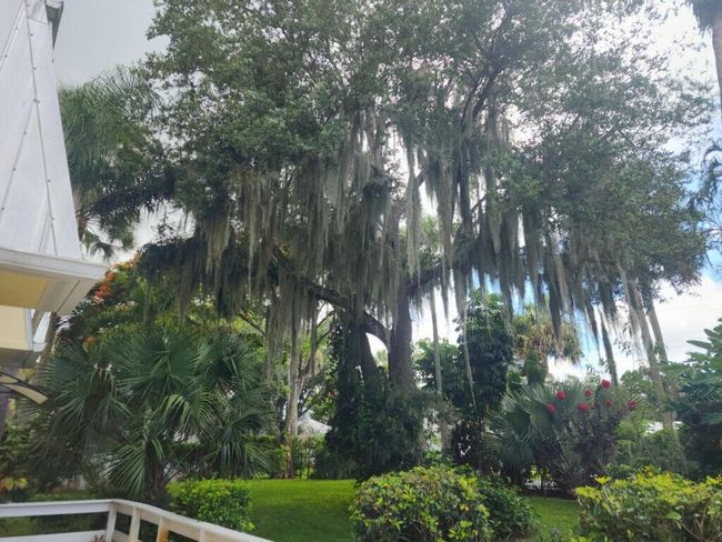 576 Sw Rustic Cir, House other with 3 bedrooms, 2 bathrooms and null parking in Stuart FL | Image 59