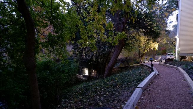 View of yard | Image 21