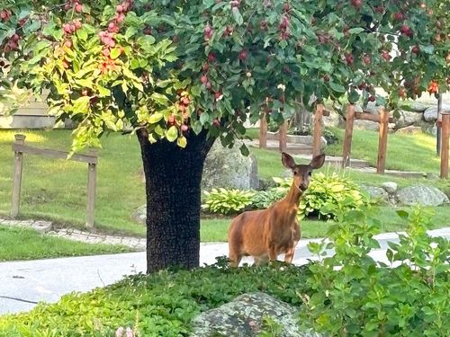 14-14 Colonial Square, Peterborough, NH, 03458 | Card Image