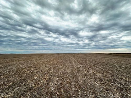 135.80ac Hickory Hill Road, Bloom, WI, 54634 | Card Image