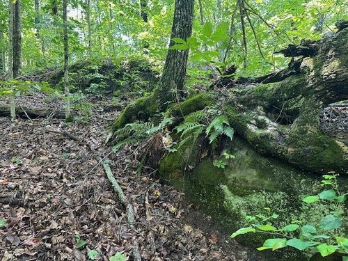 Lot 89 W Bobcat Ln, Wilder, TN, 38589 | Card Image