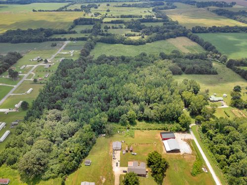 0 Jarmon Ln, Leighton, AL, 35646 | Card Image