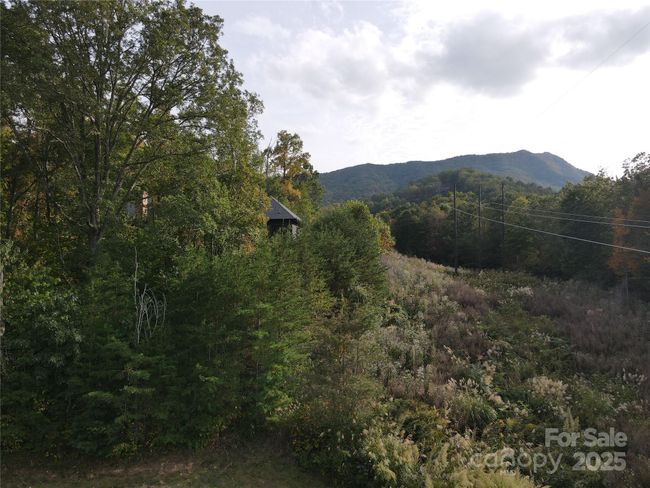 Summer view of western side of lot | Image 22