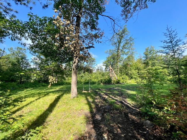 Backyard 2.jpeg | Image 24