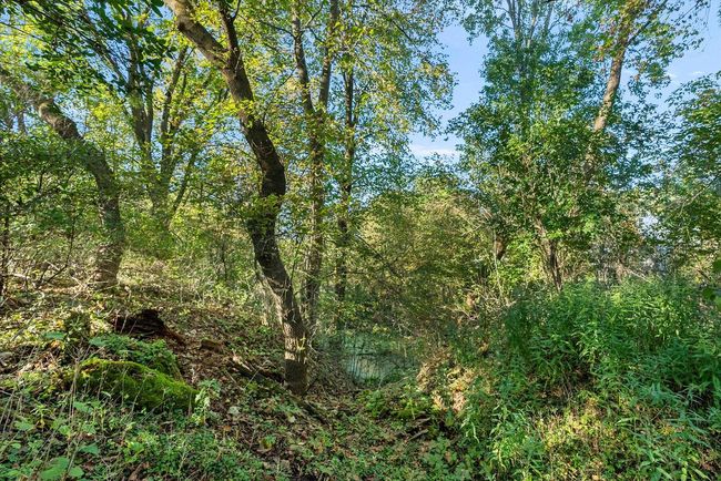 Lt0 State Highway 144, Home with 0 bedrooms, 0 bathrooms and null parking in Sherman WI | Image 10