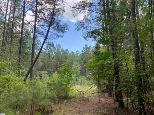 00 Indian Creek Rd, Clinton, SC, 29325 | Card Image