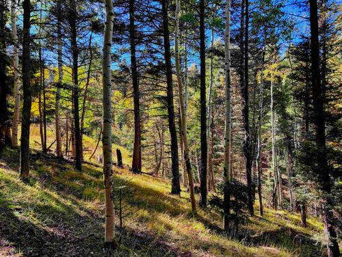 Lot 832 Via Del Rey, Angel Fire, NM, 87710 | Card Image