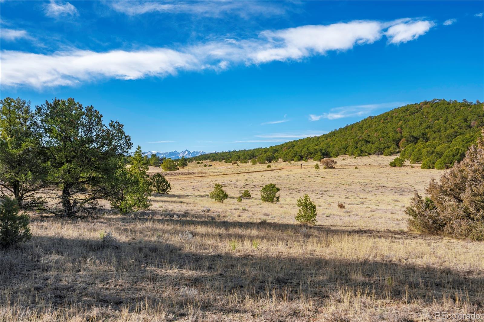 Land in Canon City 4