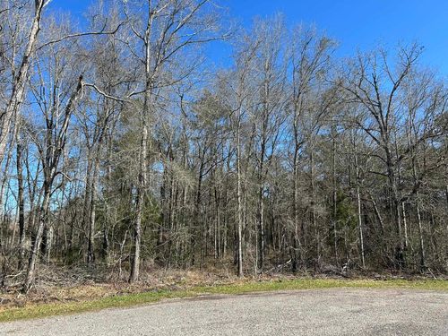 1.24 ac Circle 5, Orange, TX, 77632 | Card Image