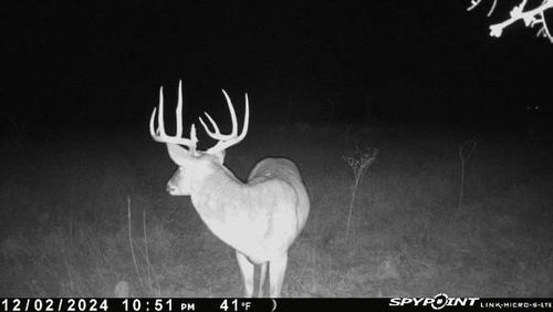 TBD 1 Cr 343 Road, Dublin, TX, 76446 | Card Image