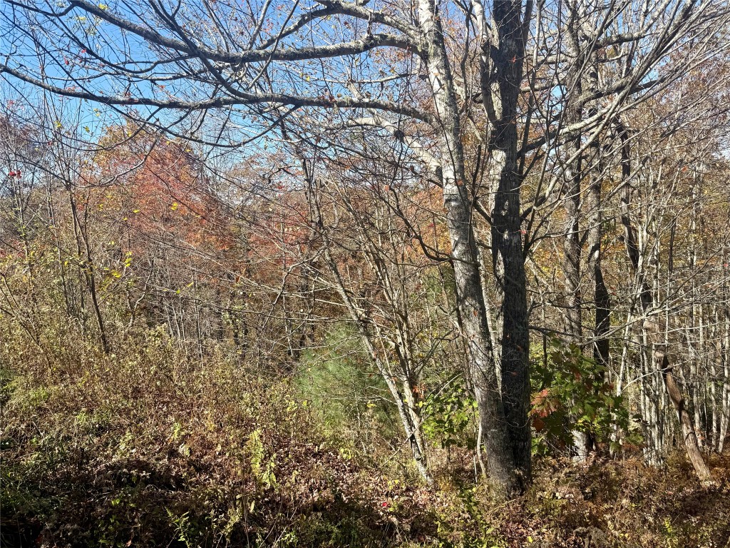 Land in Cashiers 2