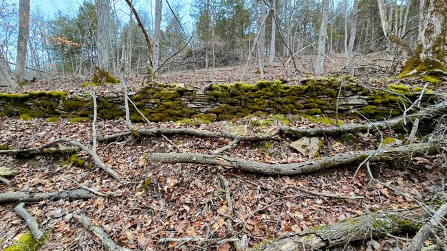 5900 S County Road 700 E, Home with 0 bedrooms, 0 bathrooms and null parking in Dillsboro IN | Image 23