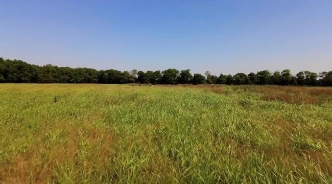 4611 Stout Rd, Home with 0 bedrooms, 0 bathrooms and null parking in Midlothian TX | Image 9