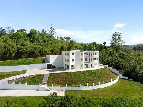 CARR 171 Mogote, CAYEY, PR, 00736 | Card Image