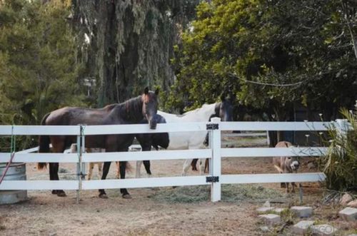 3350 Bumann Rd, Encinitas, CA, 92024-5719 | Card Image