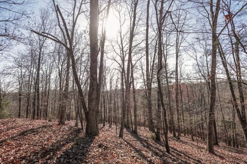 5 Brookstone Heights Ln, Dayton, TN, 37321 | Card Image