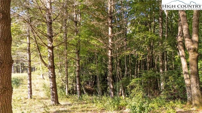 12 - 0 Clear Creek Drive, Home with 0 bedrooms, 0 bathrooms and null parking in Spruce Pine NC | Image 21