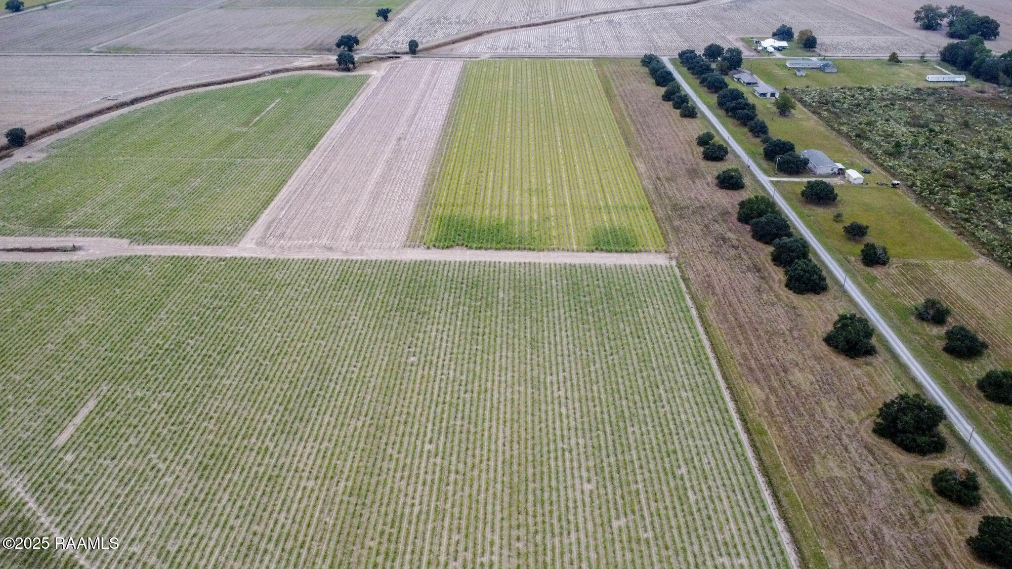 Land in Maurice 4