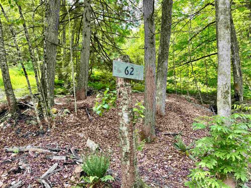 62 Foundry Rd, Tunbridge, VT, 05077-9759 | Card Image