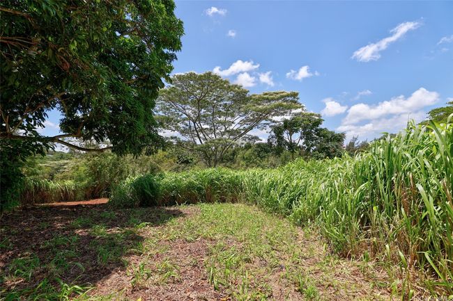 59-439 Alapio Rd, Home with 0 bedrooms, 0 bathrooms and null parking in Haleiwa HI | Image 16