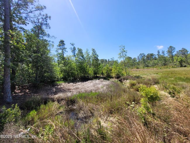 2155 State Road 40, Home with 0 bedrooms, 0 bathrooms and null parking in De Leon Springs FL | Image 52