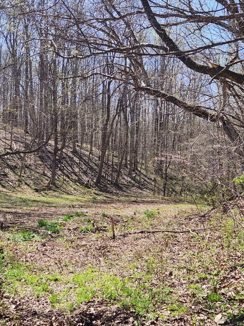 0 Lowery Cemetery Rd, Stewart, TN, 37175 | Card Image