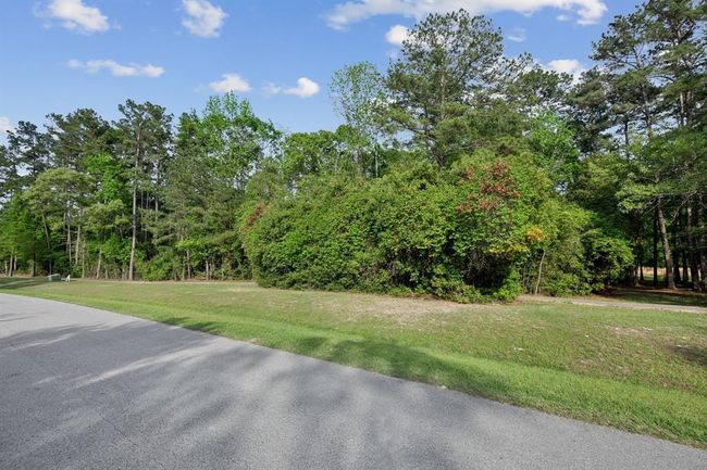 27318 Whispering Maple Way, Home with 0 bedrooms, 0 bathrooms and null parking in Spring TX | Image 4