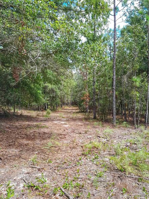 Parcel B-2 Wildlife Rd, Holt, FL, 32564 | Card Image