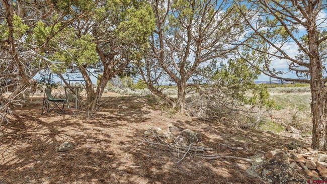 26451 Cedar Mesa Rd, House other with 3 bedrooms, 3 bathrooms and null parking in Cedaredge CO | Image 30