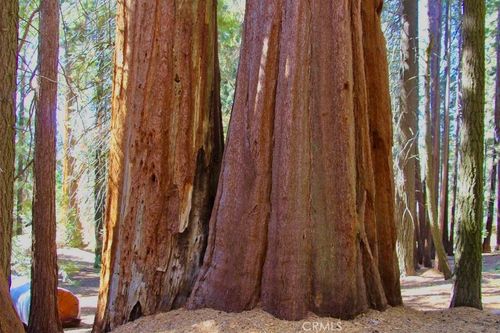 54584 Ponderosa Dr, Springville, CA, 93265-9533 | Card Image