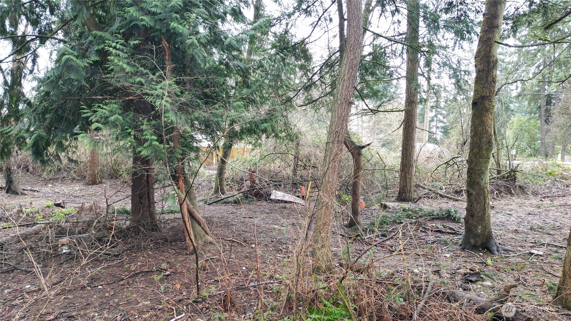 Land in Federal Way 5