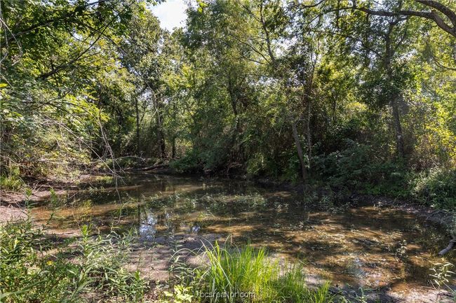 7465 River Oaks Dr, House other with 3 bedrooms, 2 bathrooms and null parking in Iola TX | Image 34