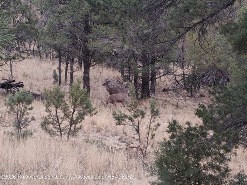 123 Deer Valley Dr, Alto, NM, 88312-8084 | Card Image