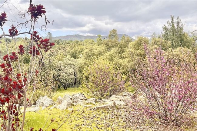 5327 Carleton Rd, House other with 2 bedrooms, 1 bathrooms and 2 parking in Mariposa CA | Image 29