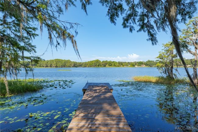 5870 N Briarcliff Ter, House other with 3 bedrooms, 3 bathrooms and 2 parking in Hernando FL | Image 40