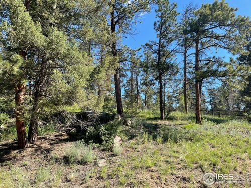 27271 Log Trl, Conifer, CO, 80433-7271 | Card Image