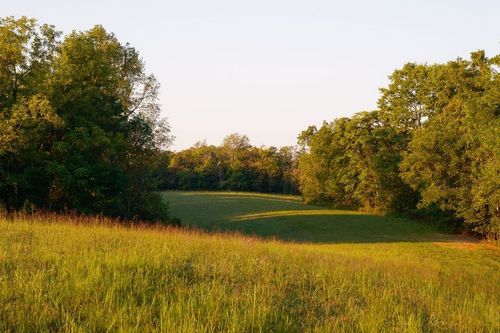 3685 Martin Ervin Rd, Santa Fe, TN, 38482-3373 | Card Image